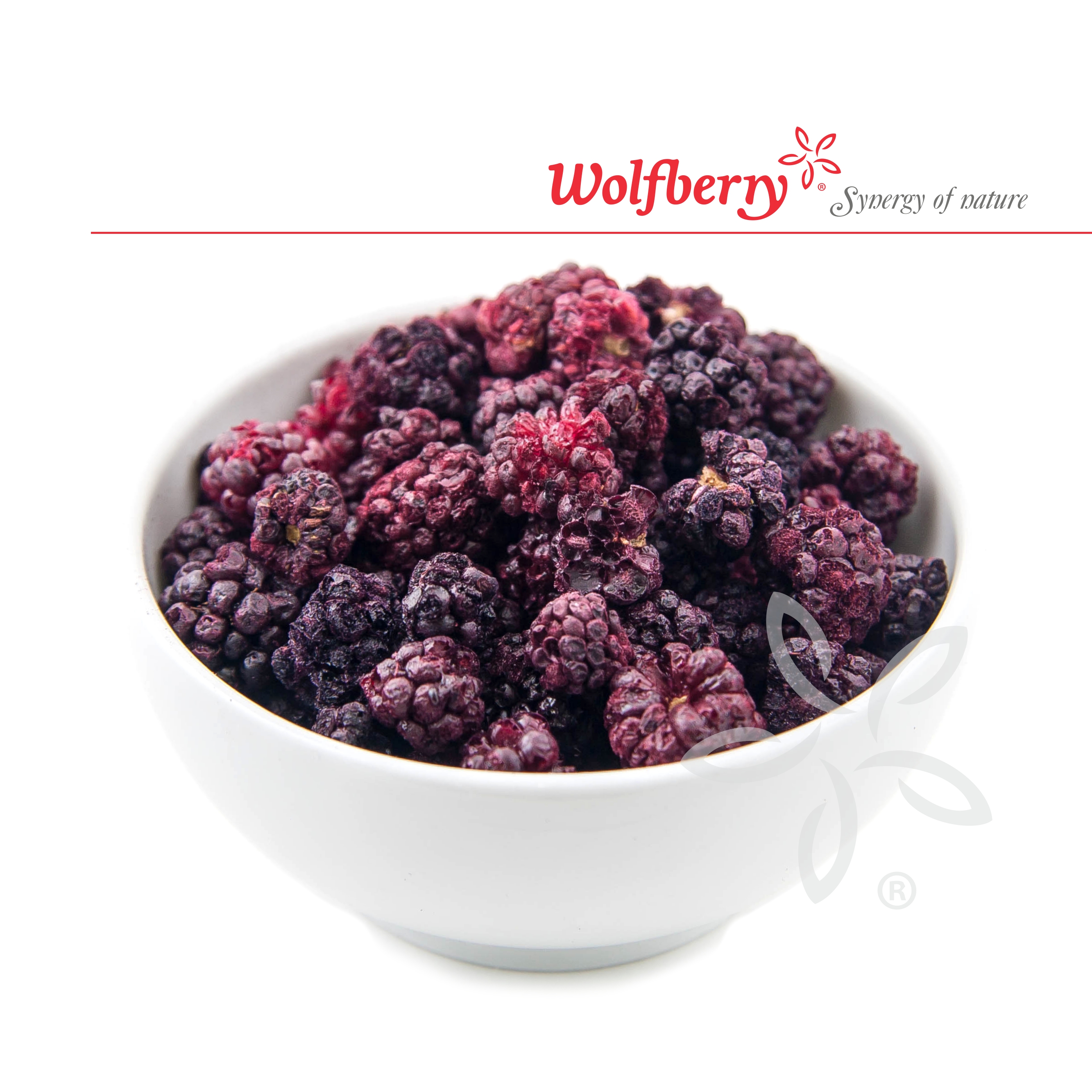 Wolfberry Ostružiny lyofilizované 20 g Wolfberry 20 g